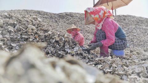 好像攝影工作室 - 錄影紀錄