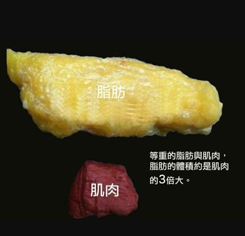 Fossil 健身教練 桃園｜新北｜台北 - 