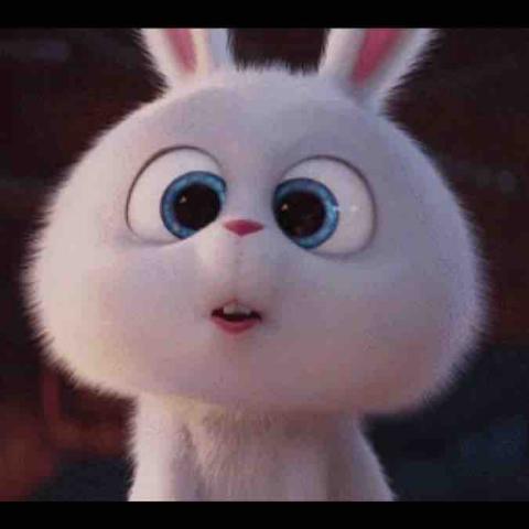 提供57服務的專家修