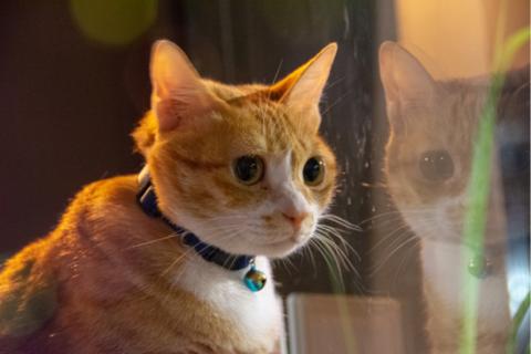 袁昊 - 攝影作品