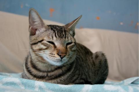 袁昊 - 攝影作品