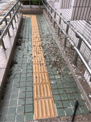 嘉欣居家清潔有限公司 - 