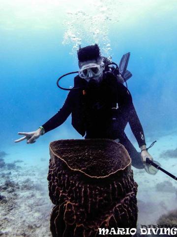 國立台北教育大學 - 水肺潛水