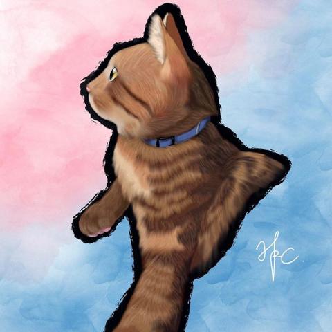 陳翰誼 - 室友的貓