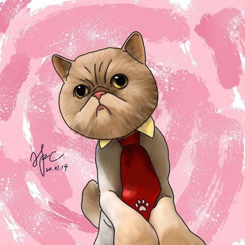 陳翰誼 - 朋友養的貓