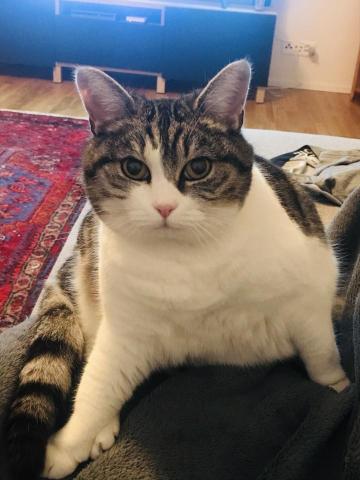 提供winter中文服務的專家Cecilia Lin