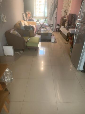 布萊頓環衛 -  布萊頓環衛 -