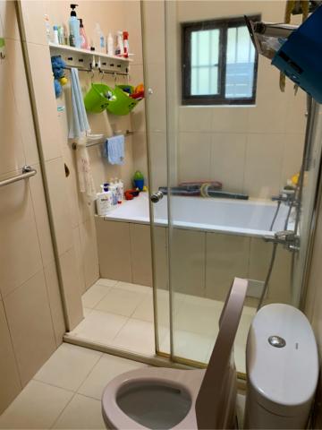 布萊頓環衛 -  布萊頓環衛 -