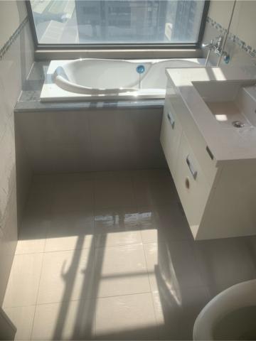 布萊頓環衛 -  布萊頓環衛 -