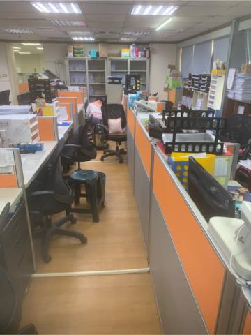 布萊頓環衛 -  布萊頓環衛 -