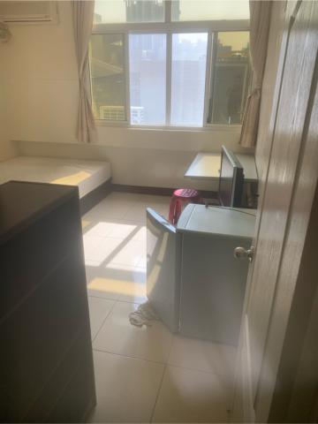 布萊頓環衛 -  布萊頓環衛 -