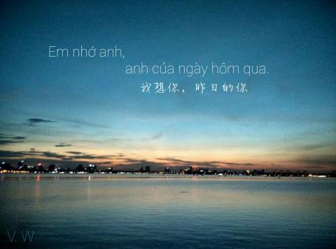 Masa  中越譯者 - 