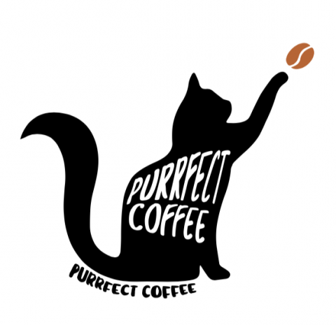 Iris Design Studio  - Logo Design