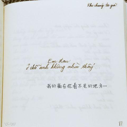 Masa  中越譯者 - 