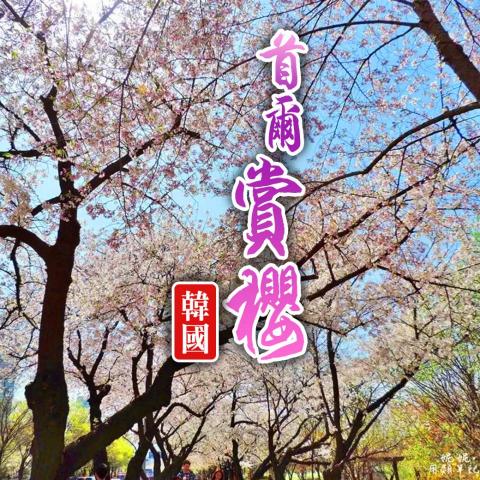 Jacy Design Professional -  Jacy Design Professional -