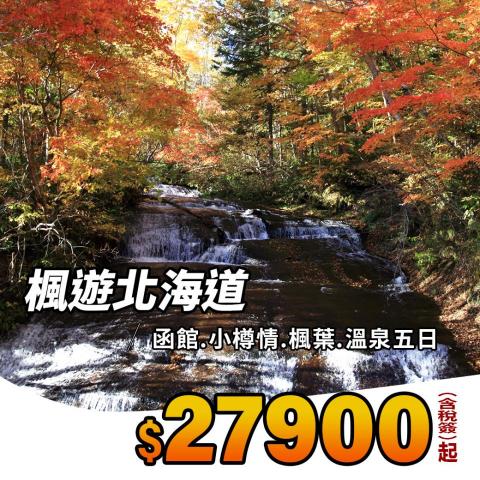 Jacy Design Professional -  Jacy Design Professional -