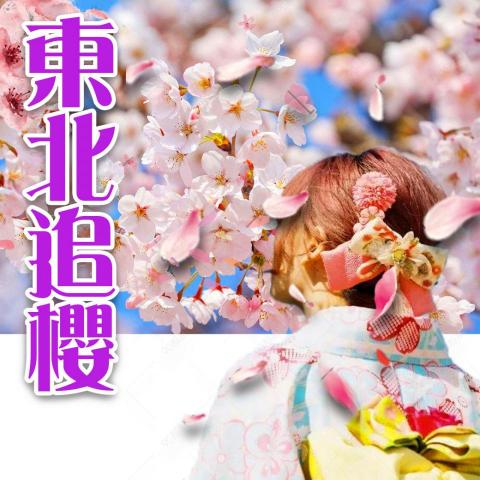 Jacy Design Professional -  Jacy Design Professional -