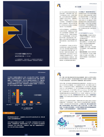 台灣區塊鏈有限公司 - 長篇募資企畫案-內容截圖