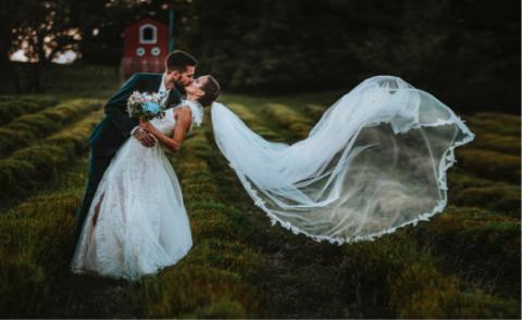 楊曉陶 - 照片修圖/前