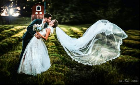 楊曉陶 - 照片修圖/後