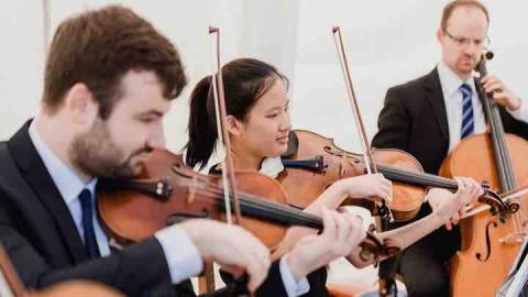 繆思音樂空間。張老師。  - 戶外城堡婚禮演出