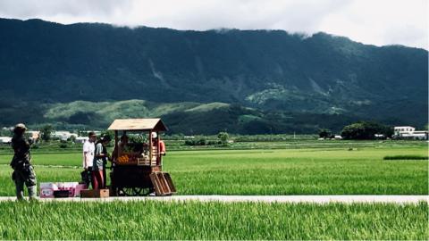 郭竣鵬Ted - 行政院廣告案(台東伯朗大道)