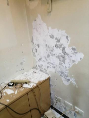 佳益家事家事服務部 - 居家套房壁癌處理