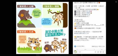 Nina Yu - 【FB經營】票選活動提升互動率