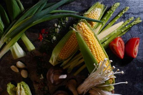 Pi 拍 - 攝影工作室 - 火鍋世家
