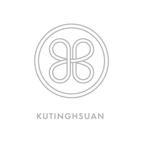 提供ailock旗艦款服務的專家顧庭瑄