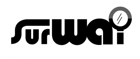 DEREK DESIGN - SURWAY市調公司
LOGO設計Ａ