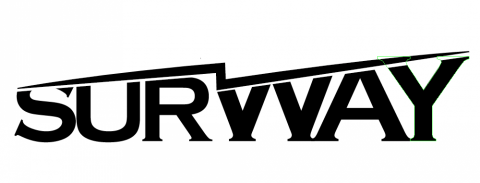 DEREK DESIGN - SURWAY市調公司
LOGO設計Ｂ