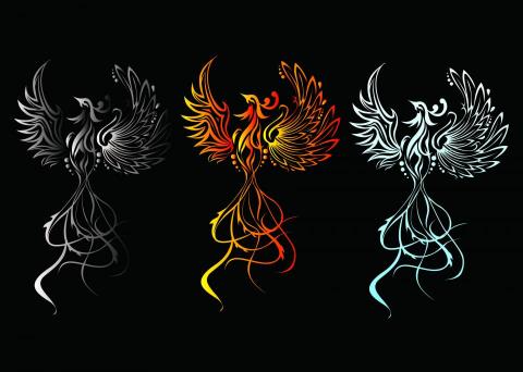 張瑀庭 - Ai-鋼筆工具練習 火鳳