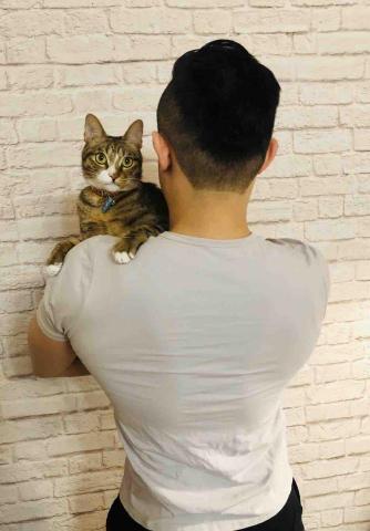 Michael Hsu - 肩上一隻貓