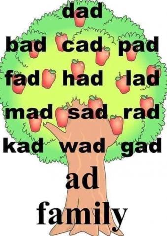 Elsa  - ｐｈｏｎｉｃｓ
