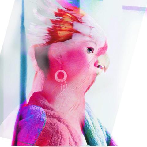 提供音樂創作服務的專家wasabi