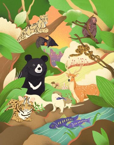 許博程 - 愛台灣-信封插畫設計