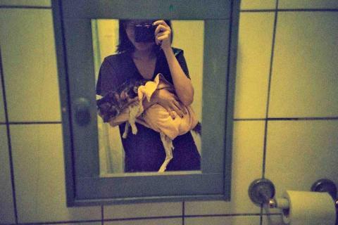 提供按讚攻擊服務的專家李欣如