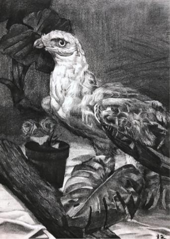 國立臺北藝術大學 - 炭筆