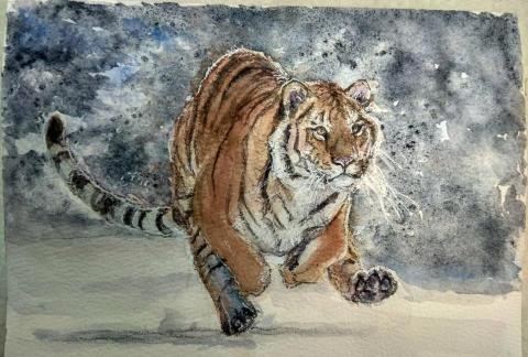 靈果繪畫工作室 - 動物水彩