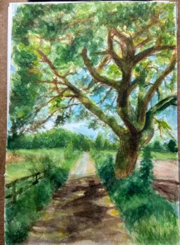 靈果繪畫工作室 - 植物風景水彩