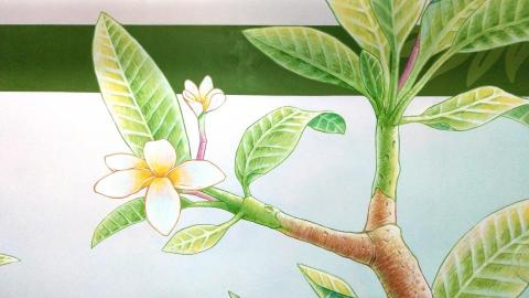 曚曚 beforedawnart - 頂誠文化建案2