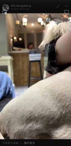 Vic  影片拍攝_剪輯_後製_字幕 - 