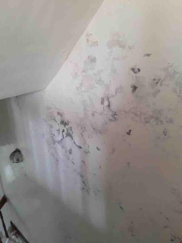 許偉杰 - 批土油漆