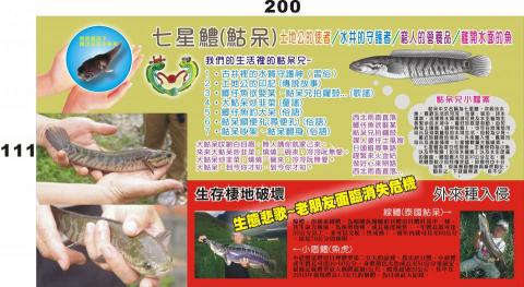 動頭殼創意整合工作室 - 簡介．活動背板０１