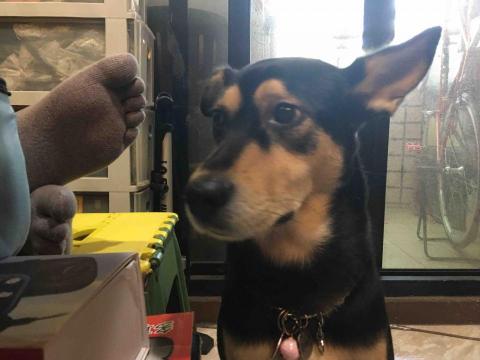 提供3c手機配件服務的專家鏽色貨架