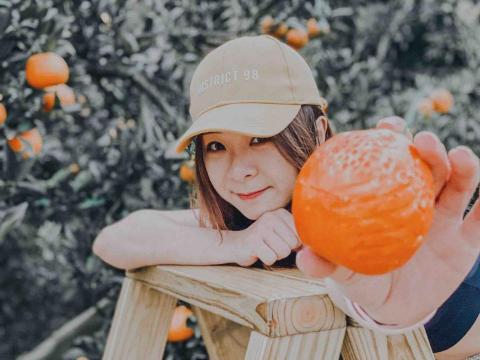 提供型錄服務的專家Jodie