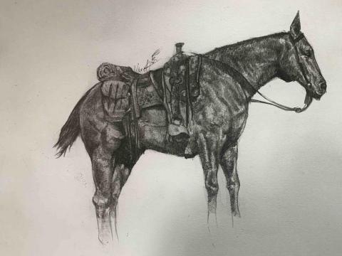 文樂視覺 - 寫實素描