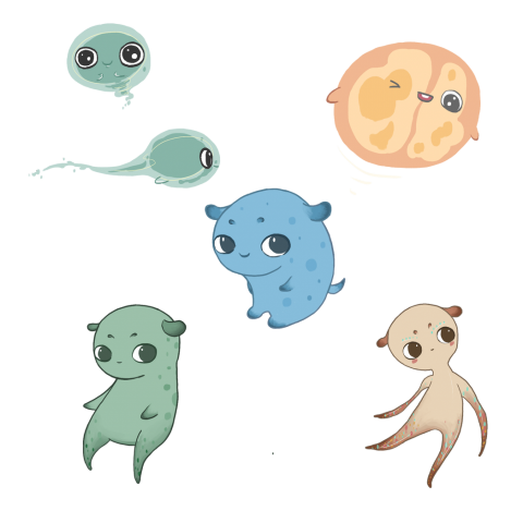 Keira Li 個人工作室 - 