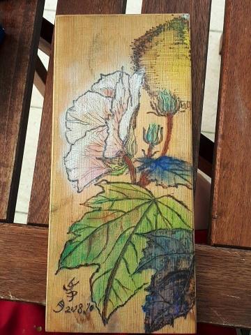 步月畫室 - 彩色烙燒